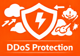 DDoS Protection