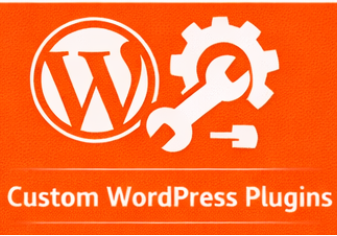 Custom WordPress Plugin Development